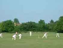 The cricket field
