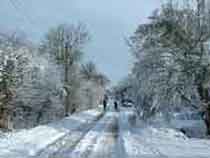 Wimpole Road